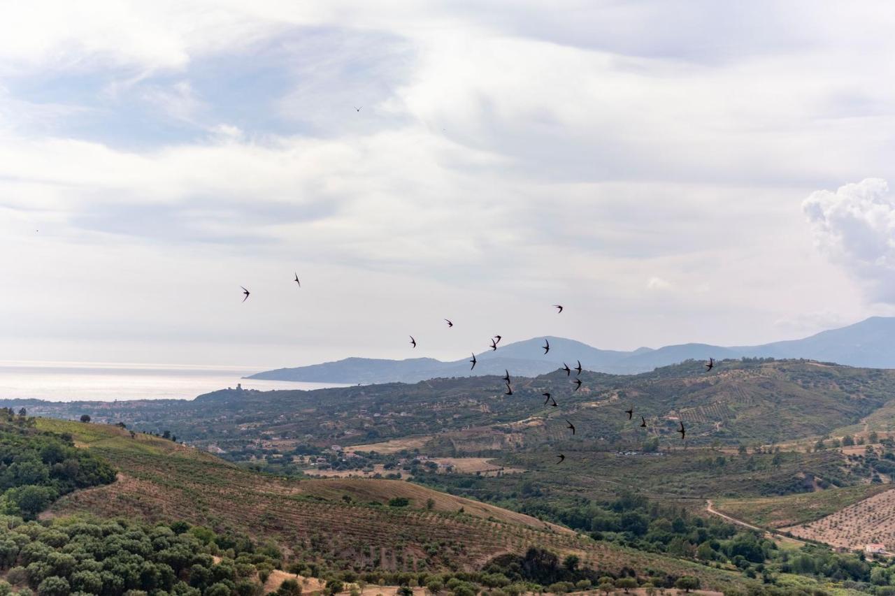 Corte Degli Ulivi Terradura المظهر الخارجي الصورة