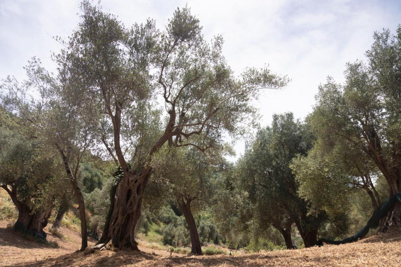 Corte Degli Ulivi Terradura المظهر الخارجي الصورة